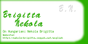 brigitta nekola business card